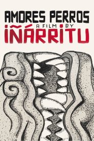 Watch Amores Perros (2000) 123Movies
