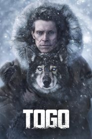 Watch Togo (2019) 123Movies