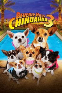 Watch Beverly Hills Chihuahua 3: Viva la Fiesta! (2012) 123Movies