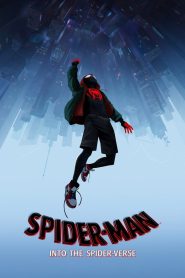 Watch Spider-Man: Into the Spider-Verse (2018) 123Movies
