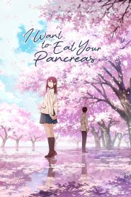 Watch I Want to Eat Your Pancreas (2018) 123Movies