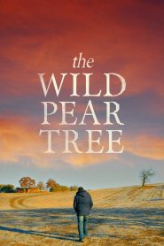 Watch The Wild Pear Tree (2018) 123Movies