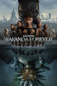 Watch Black Panther: Wakanda Forever (2022) 123Movies