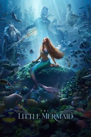 Watch The Little Mermaid (2023) 123Movies